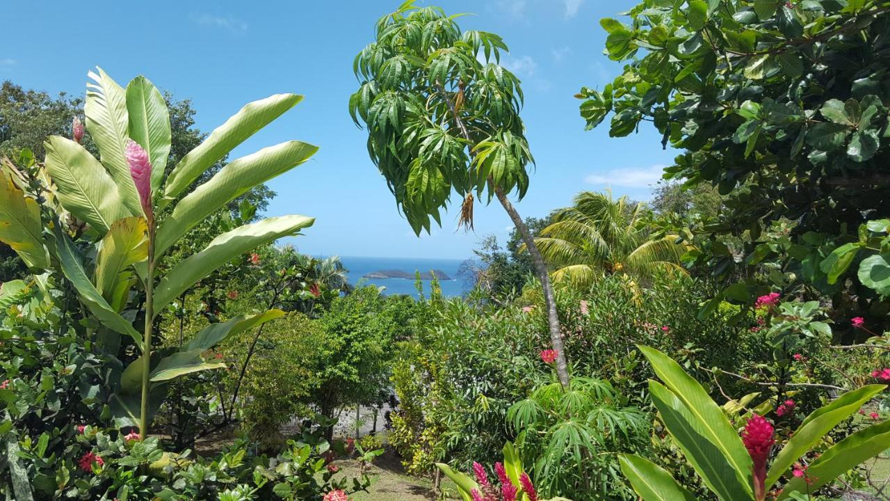 Vacances Bien Etre Guadeloupe 波尔兰特 外观 照片