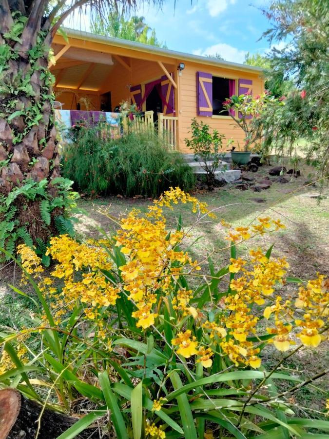 Vacances Bien Etre Guadeloupe 波尔兰特 外观 照片