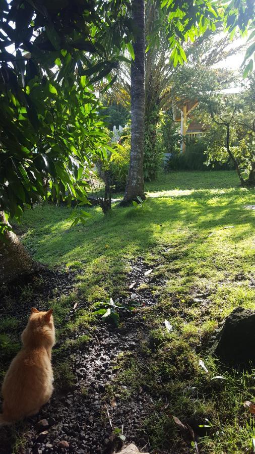 Vacances Bien Etre Guadeloupe 波尔兰特 外观 照片