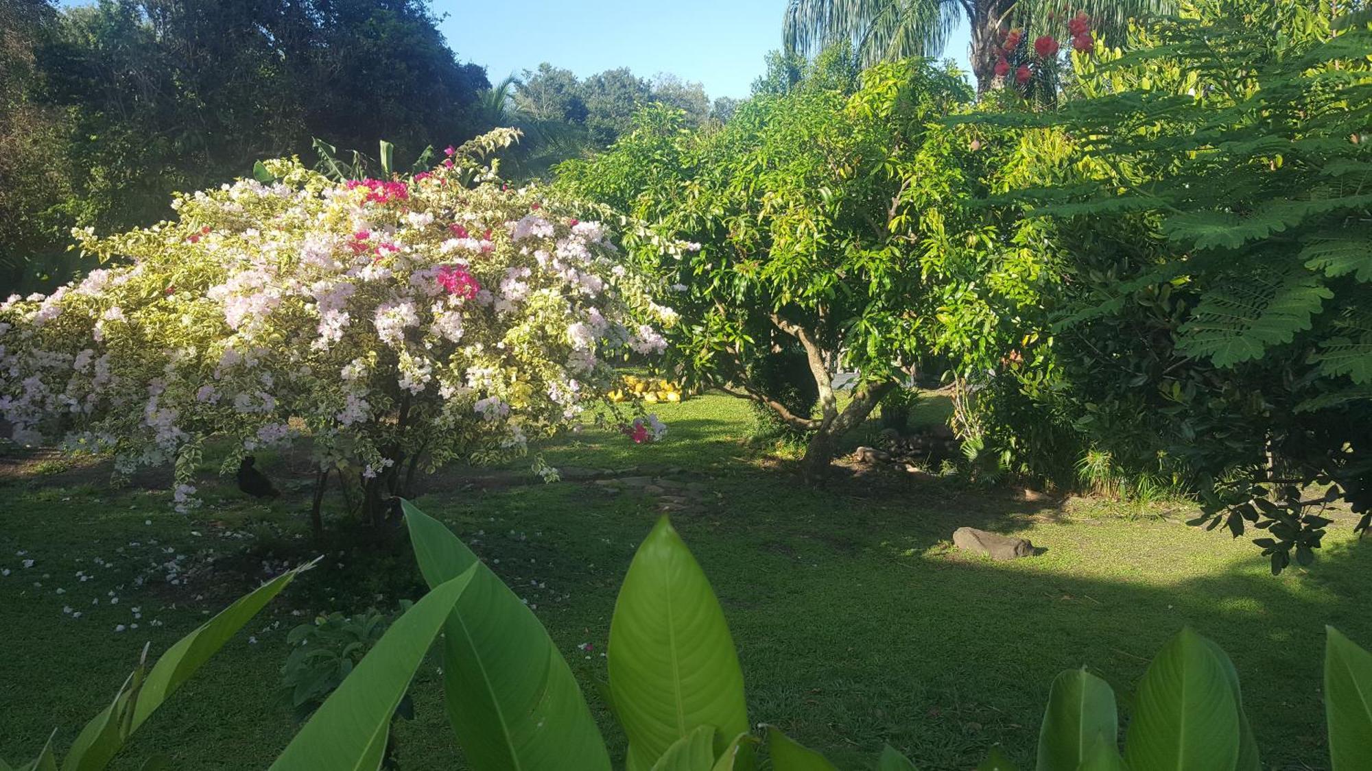 Vacances Bien Etre Guadeloupe 波尔兰特 外观 照片